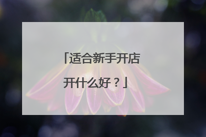 适合新手开店开什么好?