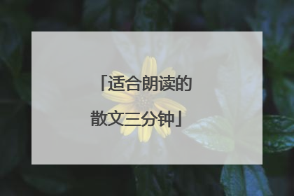 适合朗读的散文三分钟