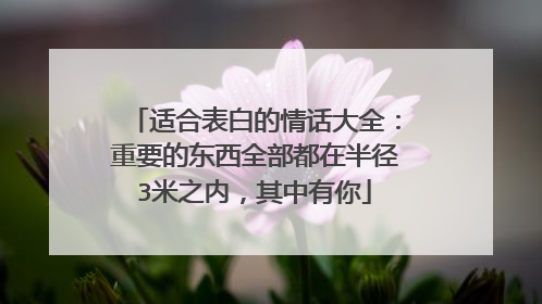 适合表白的情话大全:重要的东西全部都在半径3米之内,其中有你