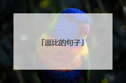 逗比的句子