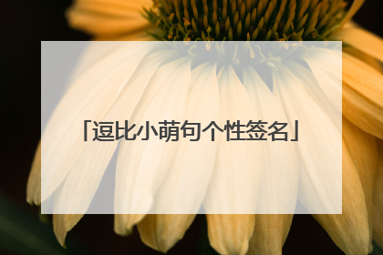 逗比小萌句个性签名