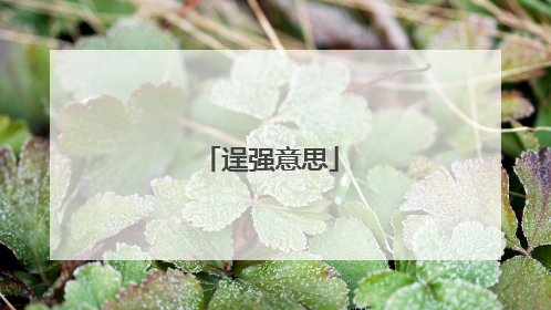 逞强意思