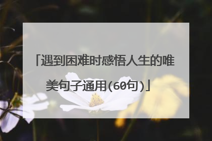 遇到困难时感悟人生的唯美句子通用(60句)