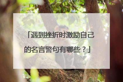 遇到挫折时激励自己的名言警句有哪些？