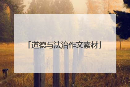 道德与法治作文素材