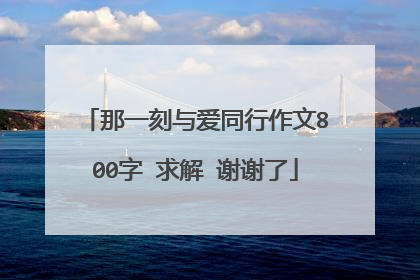 那一刻与爱同行作文800字 求解 谢谢了