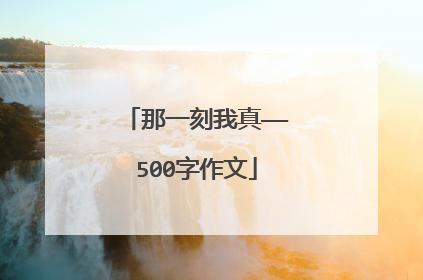 那一刻我真——500字作文