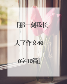 那一刻我长大了作文400字10篇