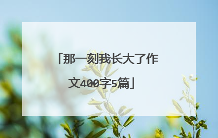 那一刻我长大了作文400字5篇