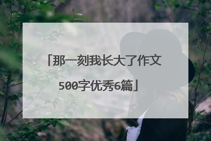 那一刻我长大了作文500字优秀6篇