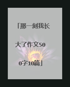 那一刻我长大了作文500字10篇