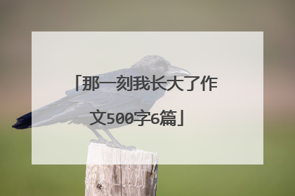 那一刻我长大了作文500字6篇