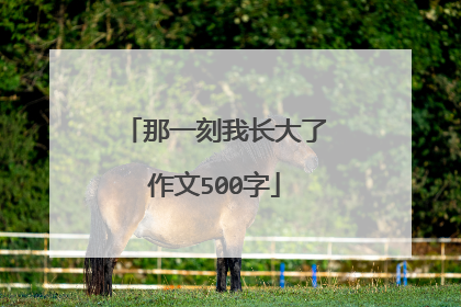 那一刻我长大了作文500字
