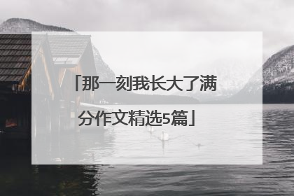 那一刻我长大了满分作文精选5篇