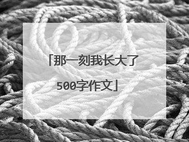 那一刻我长大了500字作文