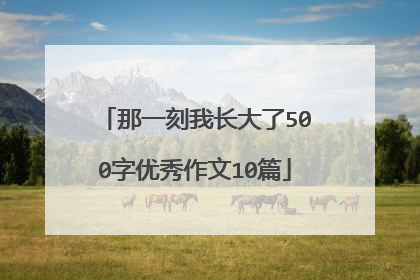 那一刻我长大了500字优秀作文10篇
