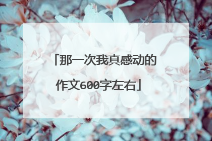 那一次我真感动的作文600字左右