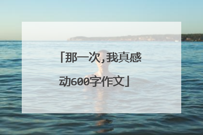 那一次,我真感动600字作文