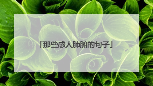 那些感人肺腑的句子