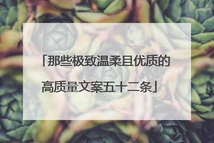 那些极致温柔且优质的高质量文案五十二条