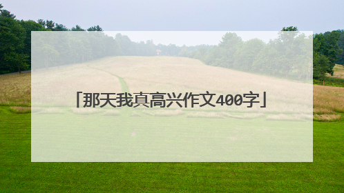 那天我真高兴作文400字