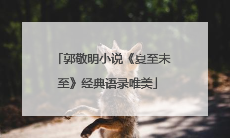 郭敬明小说《夏至未至》经典语录唯美