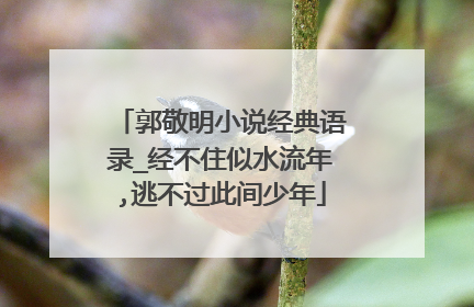 郭敬明小说经典语录_经不住似水流年,逃不过此间少年