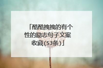 酷酷拽拽的有个性的励志句子文案收藏(53条)
