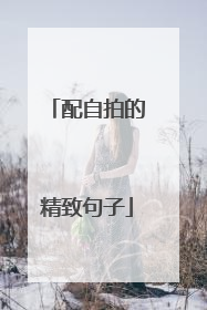 配自拍的精致句子