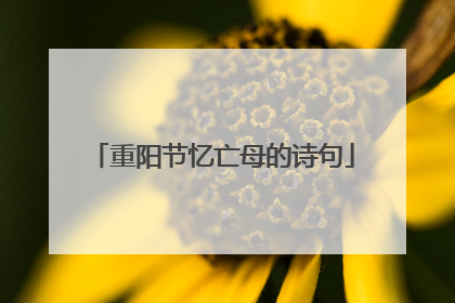 重阳节忆亡母的诗句