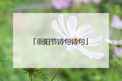 重阳节诗句诗句