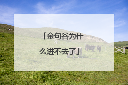金句谷为什么进不去了