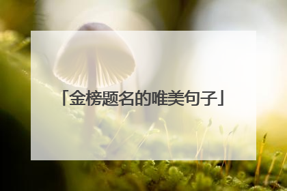 金榜题名的唯美句子