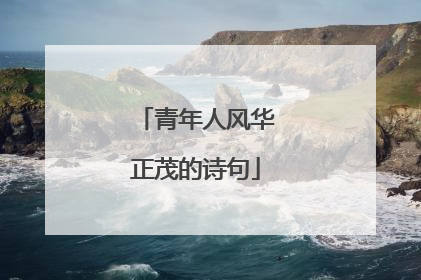 青年人风华正茂的诗句