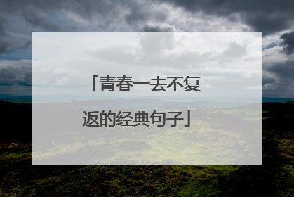 青春一去不复返的经典句子