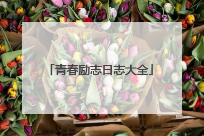 青春励志日志大全