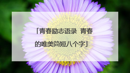 青春励志语录 青春的唯美简短八个字
