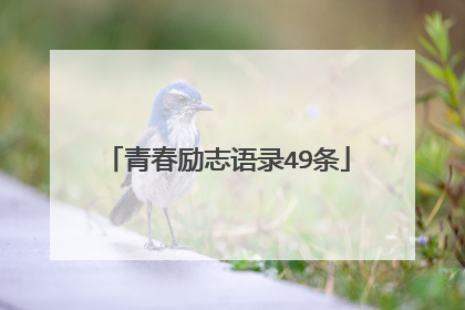 青春励志语录49条