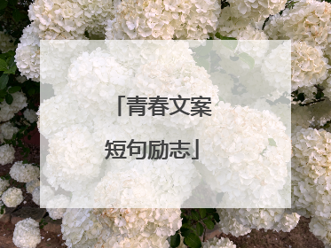 青春文案短句励志