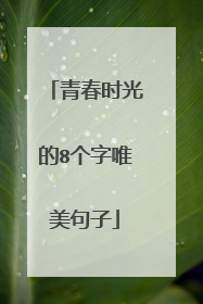 青春时光的8个字唯美句子