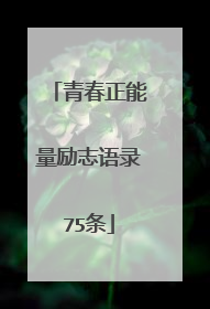 青春正能量励志语录75条