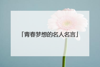 青春梦想的名人名言