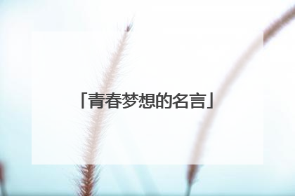 青春梦想的名言