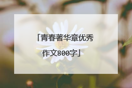 青春著华章优秀作文800字