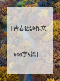 青春话题作文600字5篇