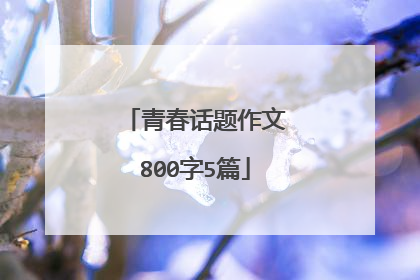 青春话题作文800字5篇