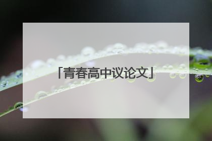 青春高中议论文