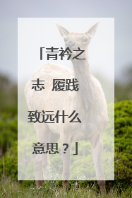 青衿之志 履践致远什么意思？