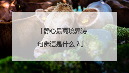 静心最高境界诗句佛语是什么?