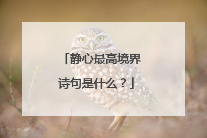 静心最高境界诗句是什么?